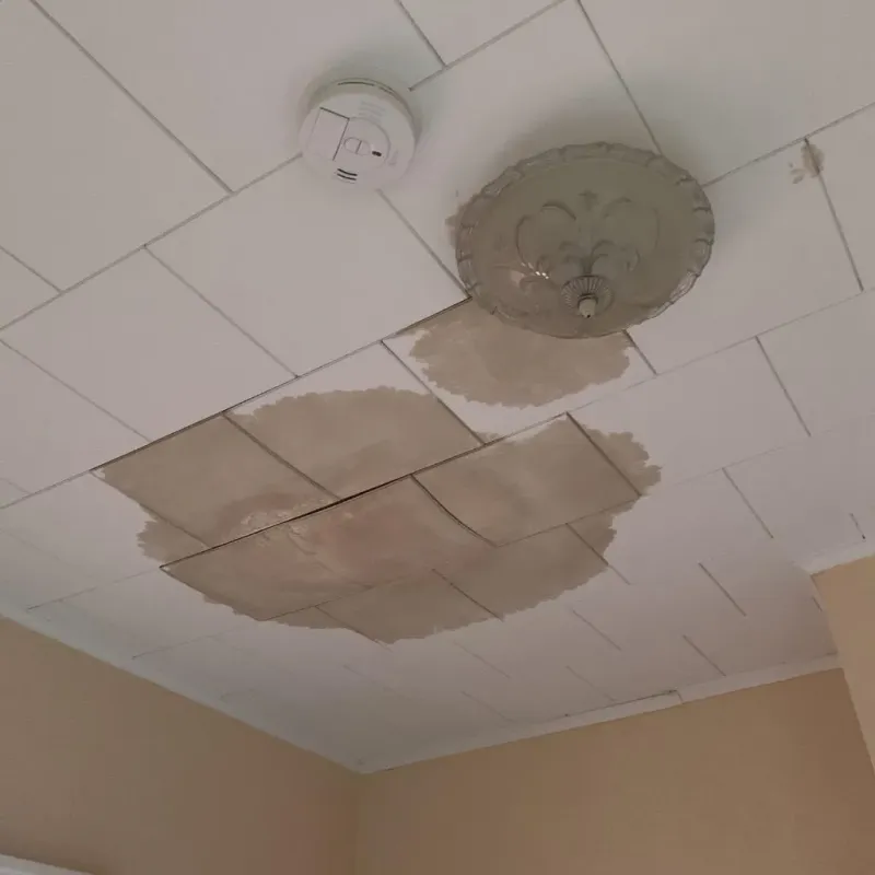 Ceiling Water Damage Repair in Roodhouse, IL