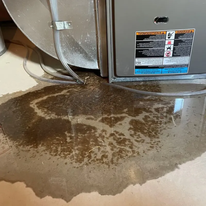 Pipe Burst and Leak Restoration in Roodhouse, IL